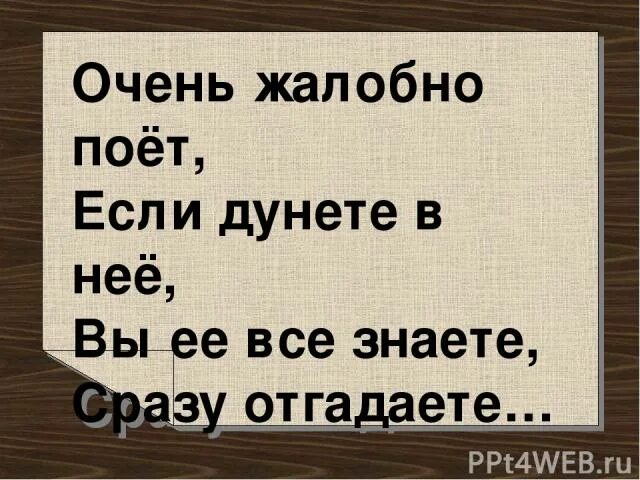 Кто исполняет жалобную песню. Кто исполняет жалобную песню