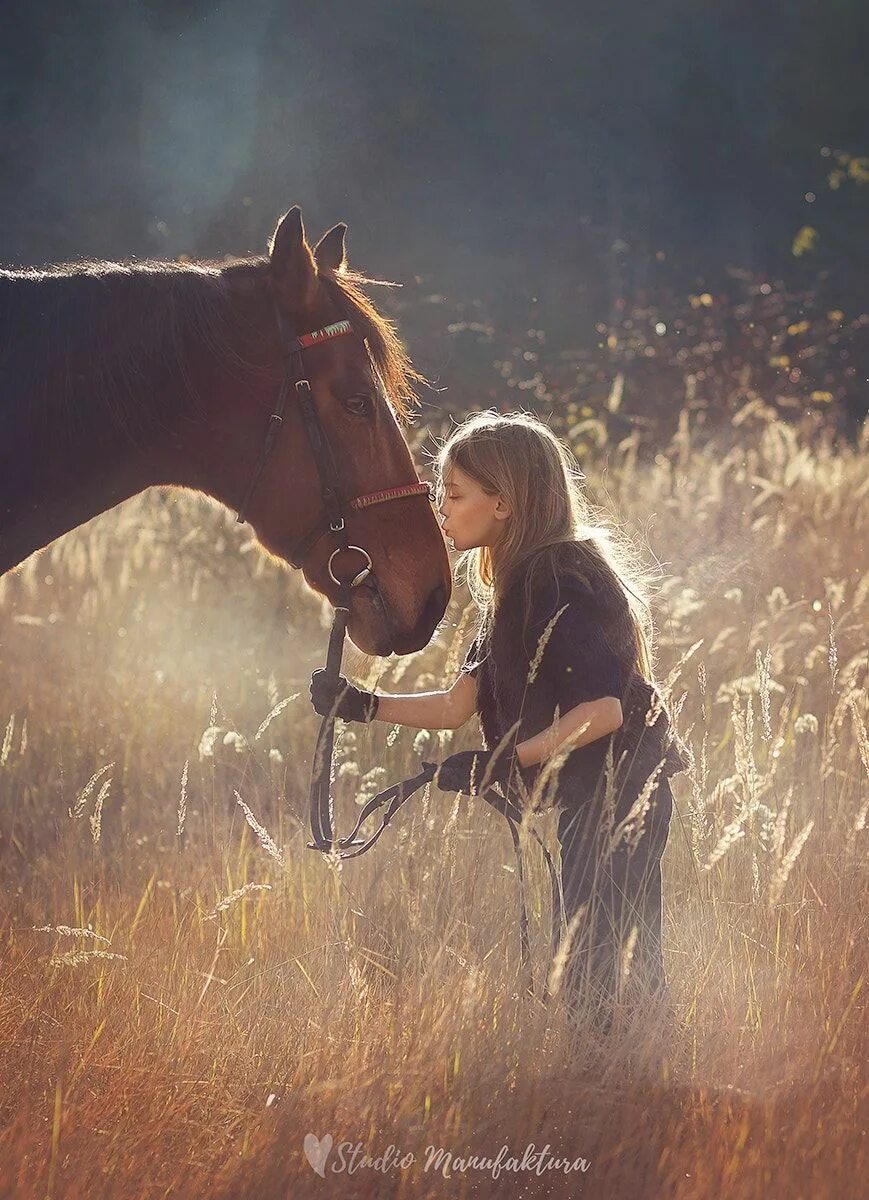 Девки и лошади. Фотосессия с лошадьми. Девушка с лошадью. Фотосессия с лошадкой. Девочка на лошади.