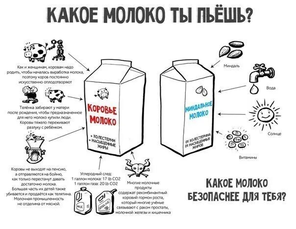 Почему человек пьет молоко. Чем заменить коровье молоко. Продукты заменяющие молоко. Замена молочных продуктов. Нельзя молоко.