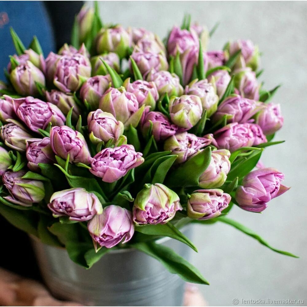 Сколько стоят тюльпаны за штуку. Высота тюльпана. Тюльпаны в цветочном магазине. Тюльпан minsk. 15 тюльпанов букет.