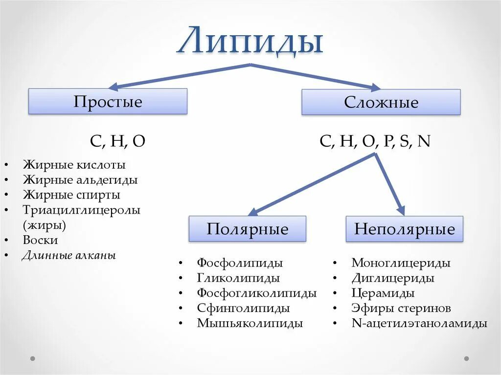 Чем отличаются сложные люди. Простые липиды классификация. Классификация липидов схема. Классификация липидов Полярные и неполярные. Классификация жиров и липидов.