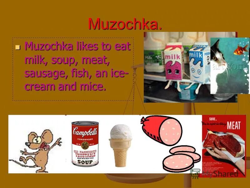 Рассказ про кота на английском. Марсик имя. Имя для кошки девочки серого цвета полосатая. My cats name is. Рассказ про кошку на английском языке.