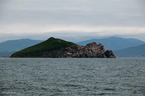 Лисий остров