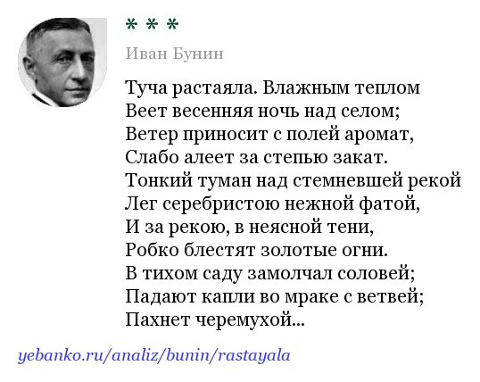 Стихотворение бунина ветер осенний в лесах подымается. Философия осени. А. Поэты об осени презентация. Стихотворение ветер бунин.