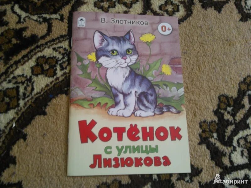 Уличный котенок. Котенок мечты. Котенок с улицы отзывы. Котенок с улицы отзывы. Котенок с улицы отзывы.