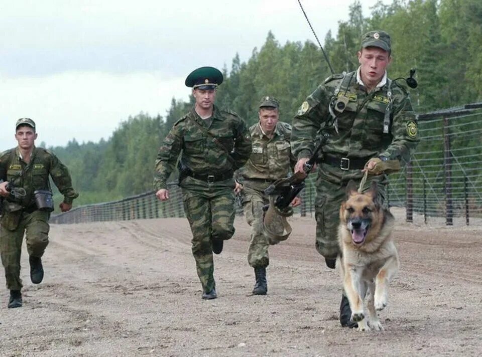 Служба дозор. Пограничные войска. Охрана границы. Российские пограничники. Пограничные войска России.