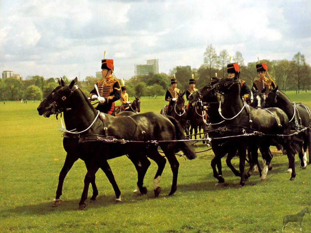 Королевская Конная артиллерия. Лошадь в артиллерии. King Royal Troop Horse Artillery woman. 3d Royal Horse Artillery.