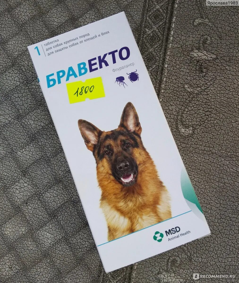 Бравекто для собак турция. Бравекто 40-60. Бравекто для немецкой овчарки. Бравекто турецкий отзывы. Бравекто 250.