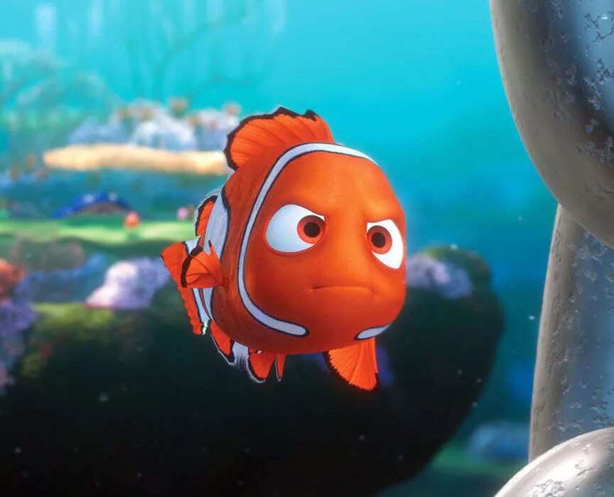 Nemo model