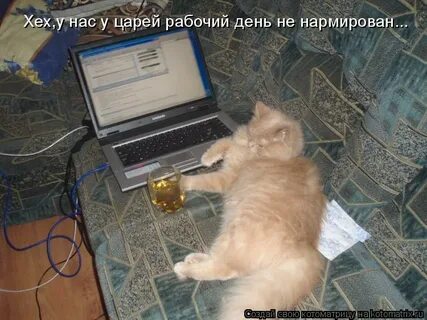 Инести