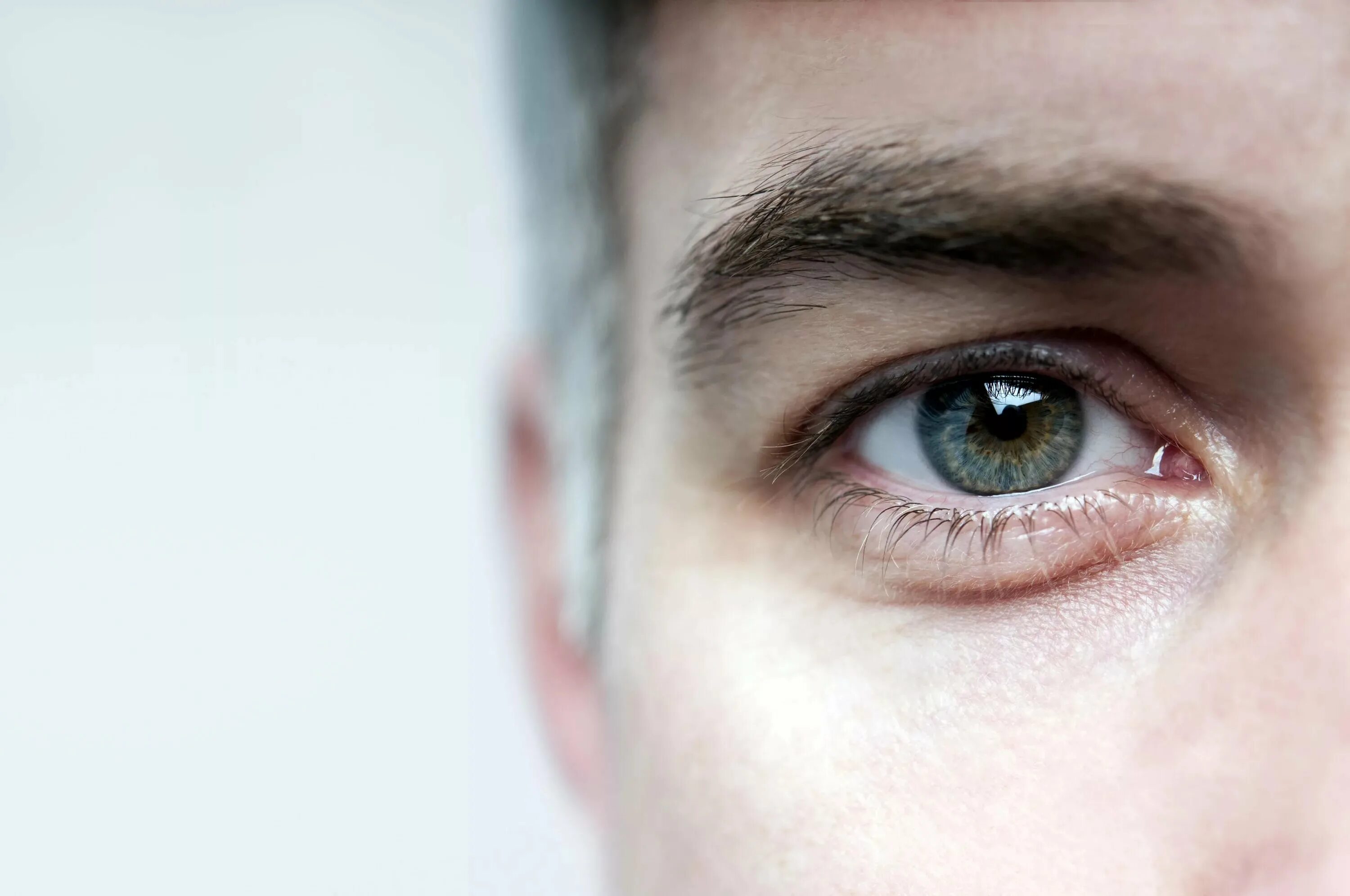 Расширенные взгляд. Глаза мужские. Голубые глаза мужские. Зеленые глаза мужские. Глаз человека.