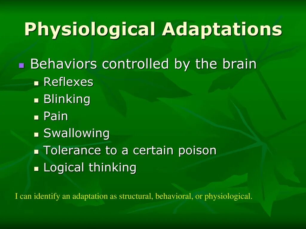 Physiological adaptations. Behavioral adaptations. Adaptation of Words кратко. Adaptation примеры перевода.