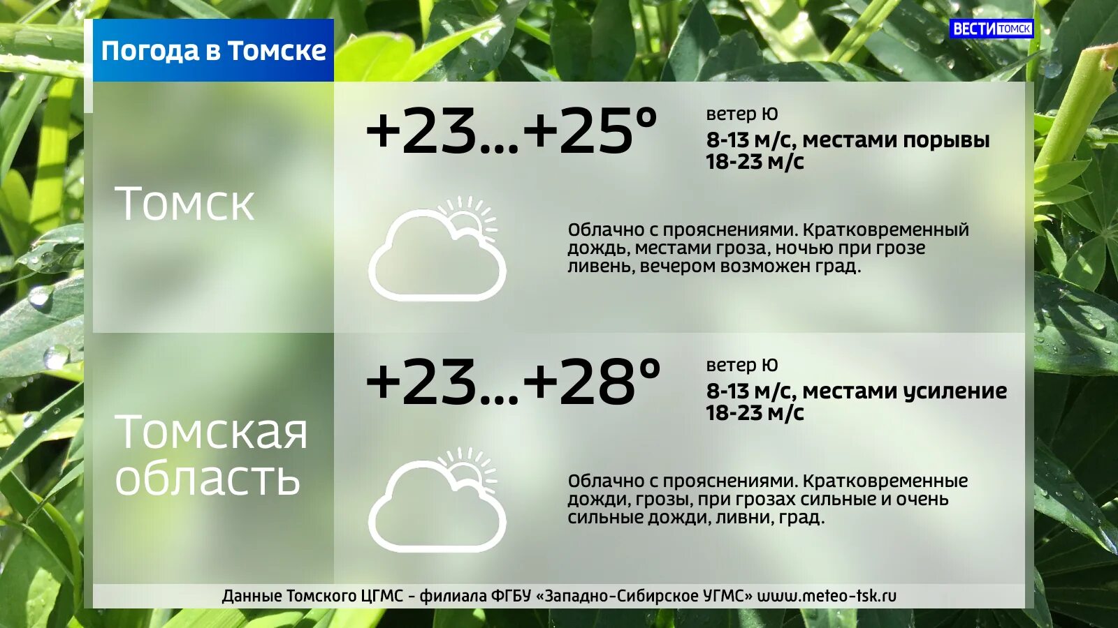 Погода в томске на неделю на 14. Погода в Томске. Томск климат. Дождь Томск. Томск погодные условия.