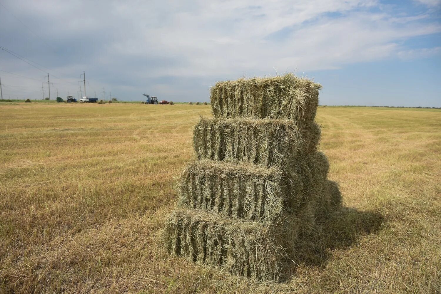 Сено тульская область. Копна сена. Сено тульская область. Сено в рулонах разнотравье. Сено тульская область.