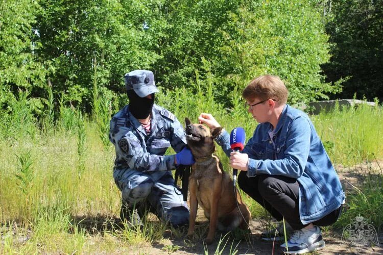 Сюжет подготовленный. Сюжет подготовленный