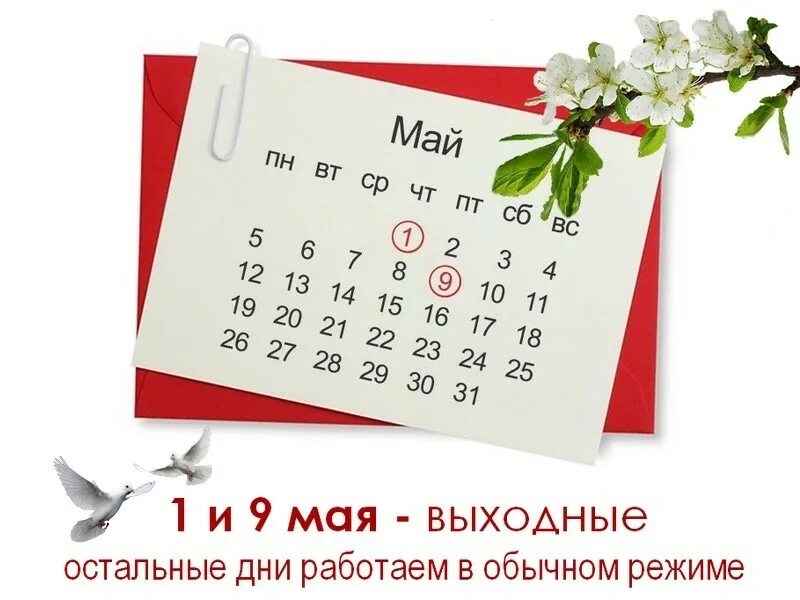 Выходные дни в мае майские праздники