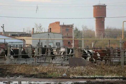 Озерки ульяновская область погода