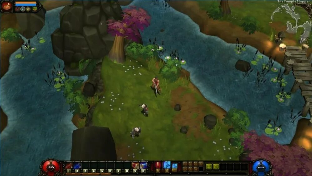 Torchlight по сети. Torchlight 1. торч игра. игра torchlight 2.