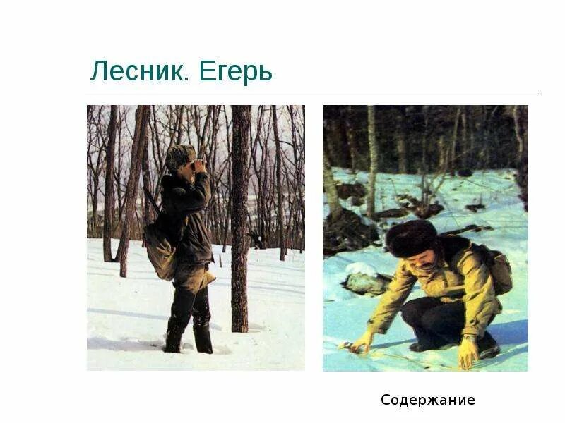 Егерь значение слова. Презентация профессия егерь. профессия егерь презентация для детей. егерь лесник. профессия егерь для детей дошкольного возраста.