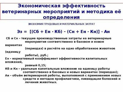 Определения экономической эффективности организации