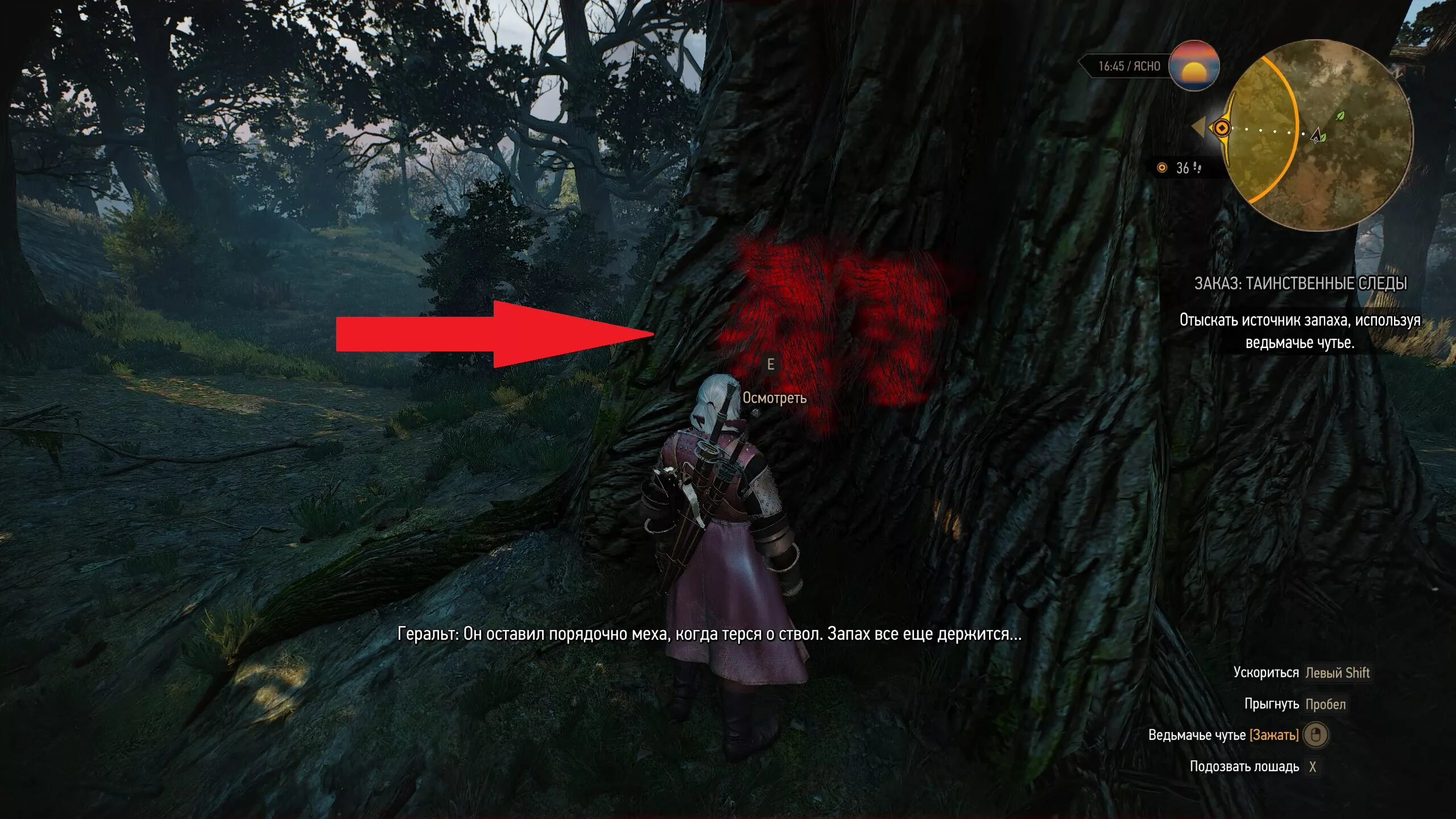 Хозяйка леса ведьмак 3 на карте. Ведьмак 3 найти духов с помощью. Ведьмак 3 найти духов с помощью. Ведьмак 3 найти духов с помощью. Найти духа обитающего в колодце.