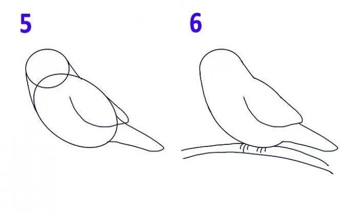 Рисование птиц. Рисование птиц для детей. Поэтапное рисование птиц. Поэтапное рисование птиц для детей. Рисуем птицу поэтапно презентация 2 класс