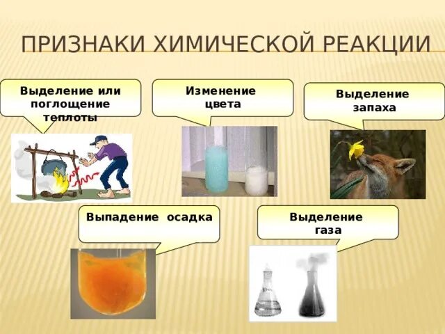 Поглощение теплоты признак химической реакции. Поглощение теплоты признак химической реакции