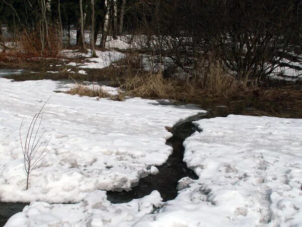 Ручеек 4. Элемент ручья пластиковый. Формы декоративных прудов. Ленинский садик арзамас. Ручеек 4.