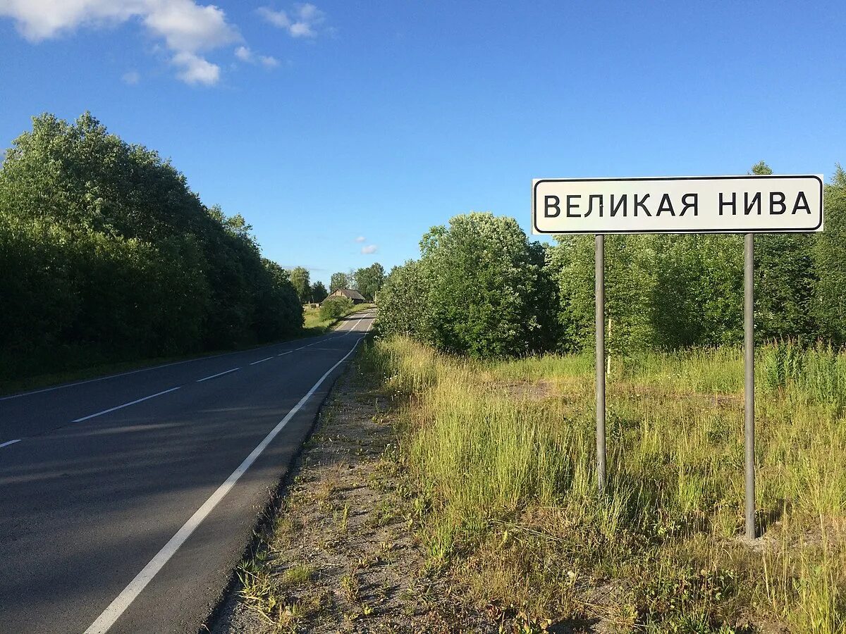 Деревня великая. Великая Нива. Великая Нива Карелия. Деревня Великая Нива. Деревня Великая Нива Медвежьегорского района.