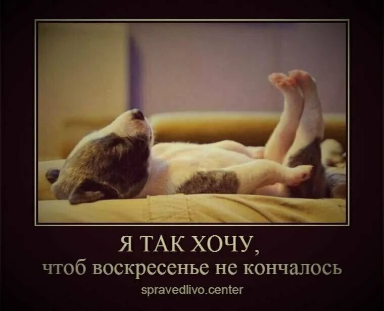 Что можно поделать на выходных