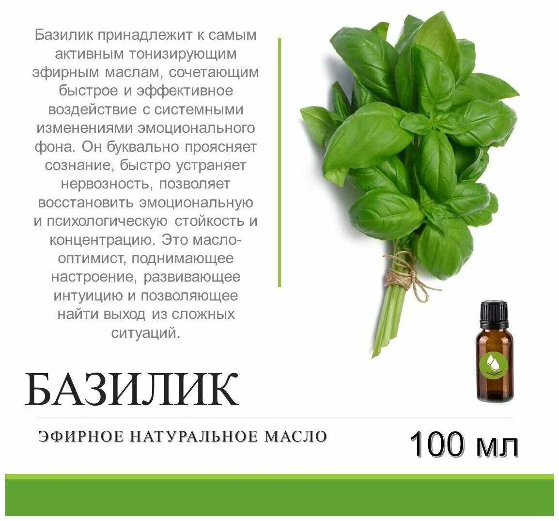 базилик дотерра описание. масло базилик сладкий dbfcfy. вивасан аромамасла. эфирные масла дотерра. тулси эфирное масло.