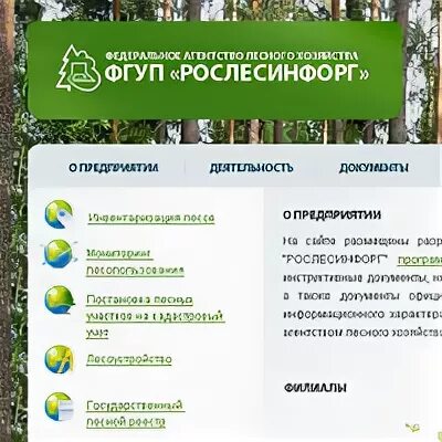 Сайт рослесинфорг