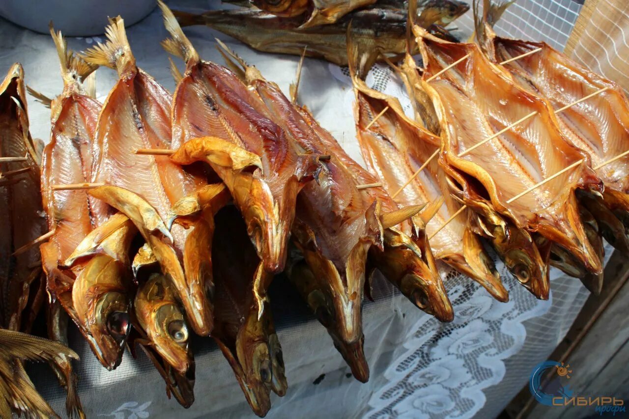 рыба деликатес на байкале. байкальский омуль голомянка. омуль байкальский листвянка. омуль, сиг, осетр, хариус. дальневосточный омуль копченый.