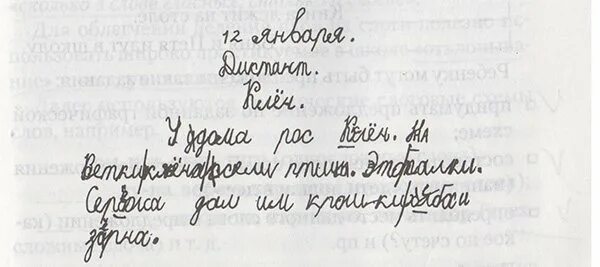 Аграмматическая дисграфия. Примеры аграмматической дисграфии. Аграмматическая дисграфия примеры ошибок. Ошибки при аграмматической дисграфии. Дисграфия примеры ошибок