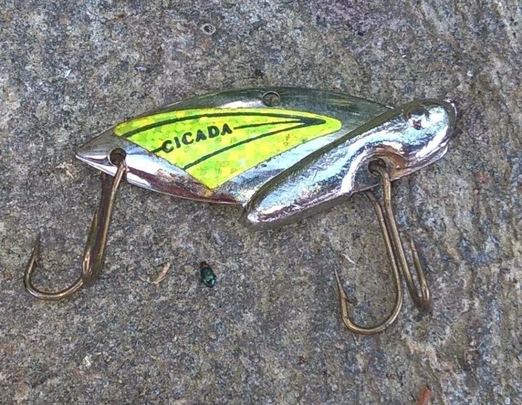 Цикады ловить. Блесна -цикада блейдбейт. Цикада ямокацу блесна. Цикада lure. Самодельные цикады для зимней рыбалки.