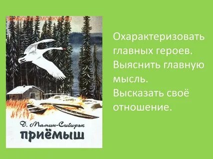 План истории дружбы соболька и приемыша