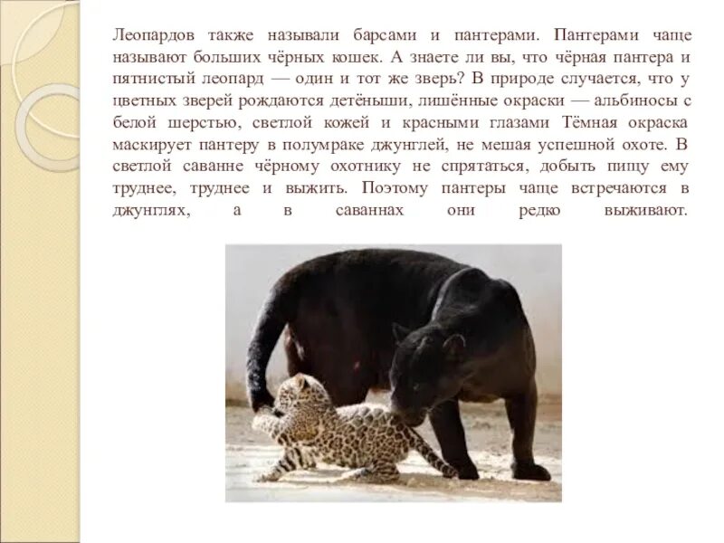 Сколько спаслось