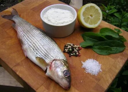 Хариус рыба рецепты