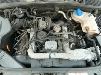 Траннилерді соратын ерлердің суреттері