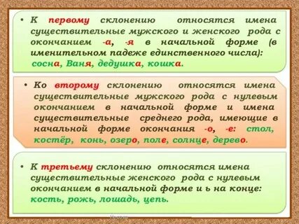 Существительное неодушевленное собственное единственного числа
