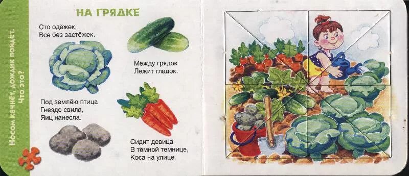 Загадку 100 одежек. Семь одежек и все без застежек. сто одежек, и все без застежек. сто одёжек и все без застёжек загадка. много одежек и все без застежек.