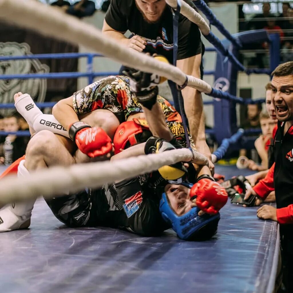 смешанные единоборства иркутск. смешанное боевое единоборство мма. клуб единоборств медведь. сибирский медведь ангарск. смешанные единоборства иркутск.