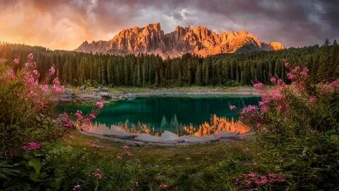 Земная красота
