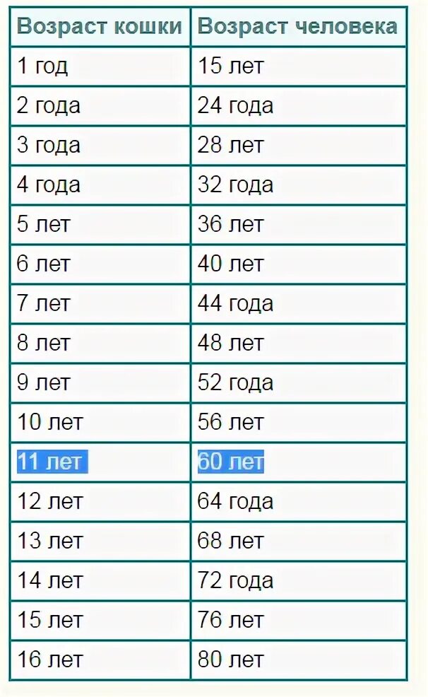 Перевод кошачьего возраста на человеческий. Соотношение возраста кошки и человека. Собачий и кошачий Возраст. Возраст попугая по человеческим меркам. Человеческий Возраст.