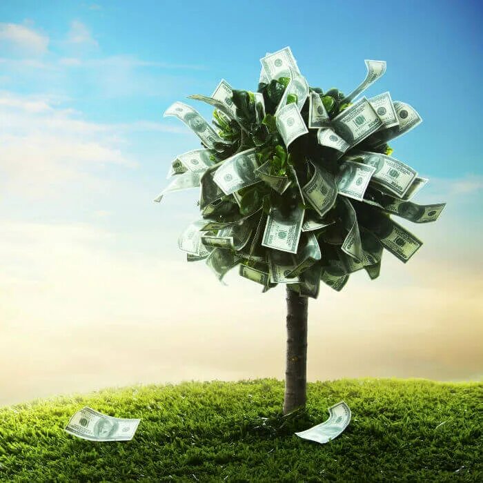 Деньги в руках. Солнышко и деньги. Радость и удовольствие. Пальма деньги. Деньги солнце жизни.