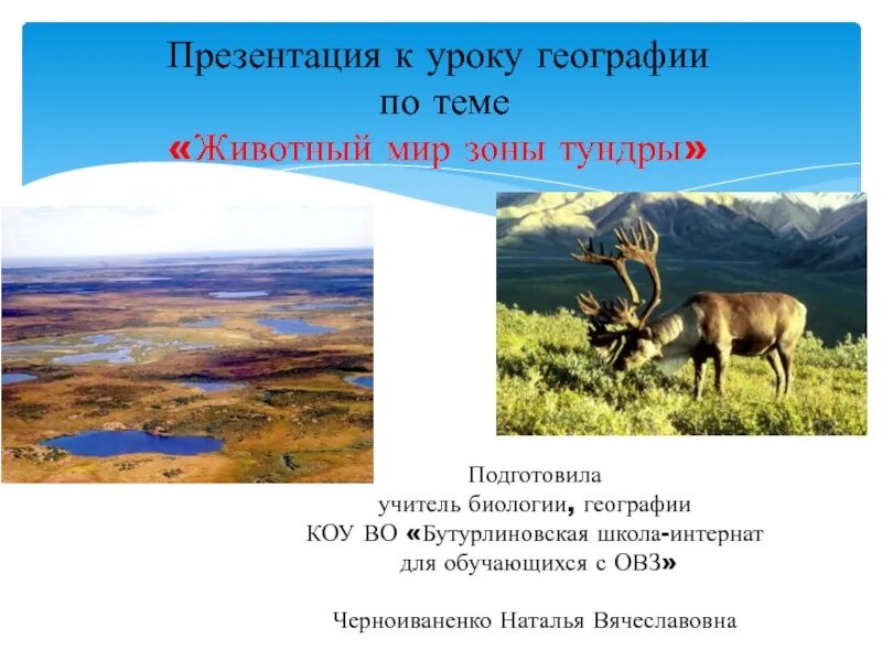 В тундре семь погод на день. Тундра 6 класс география. Название заповедников расположенных в зоне тундры. Животный мир в тундре география 7 класс. Презентация животные тундры 7 класс.