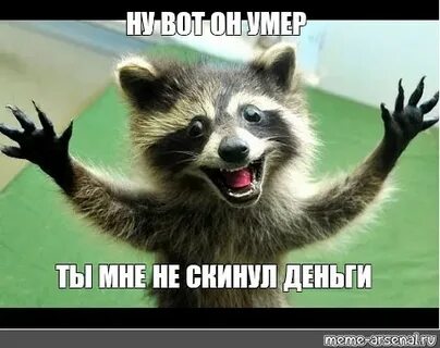 Скинь деньги пушистик