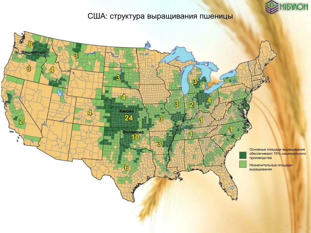 Сельское хозяйство США карта. Сельскохозяйственные районы США. Сельскохозяйственные регионы США. Районы США. Главные сельскохозяйственные районы сша