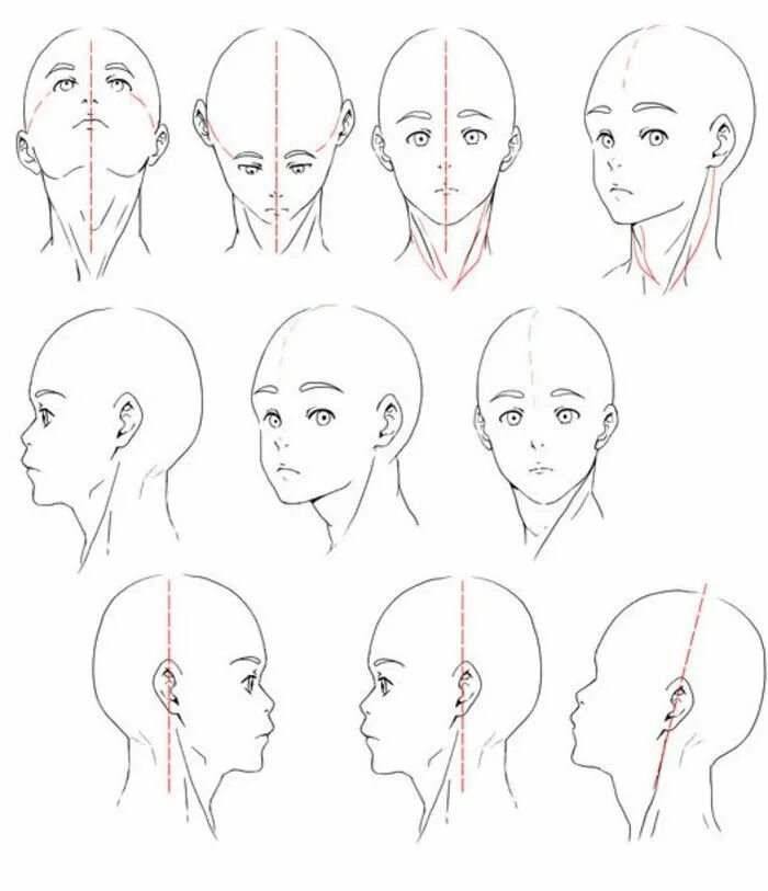 Ракурсы головы для рисования. Лицо с разных ракурсов. Рисунок лица в разных ракурсах. Ракурсы головы референс