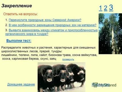 Характеристика природных зон презентация